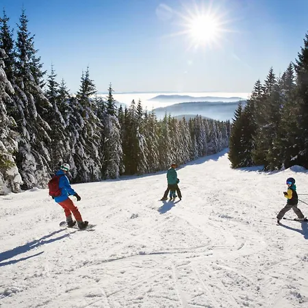 Appartamento Tannenhof Fischbach - 5 