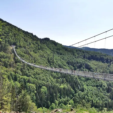 Tannenhof Fischbach - 5 